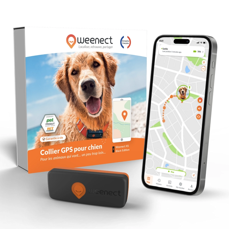 Weenect XS chien